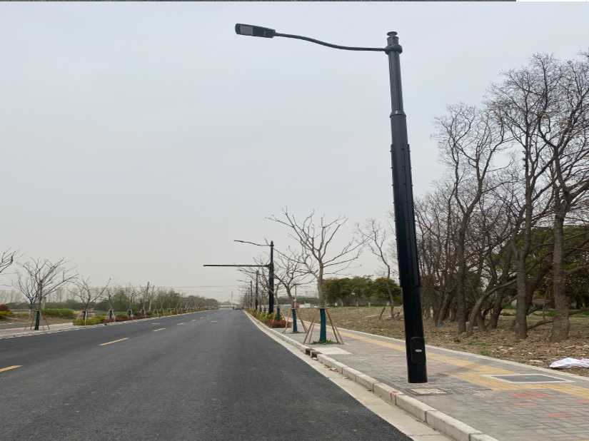 平阳县上海综合杆 太阳能路灯工程