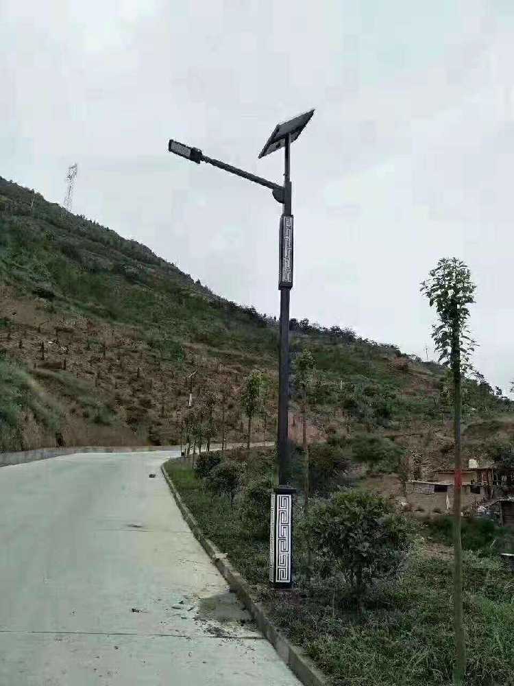 平阳县仿古太阳能路灯